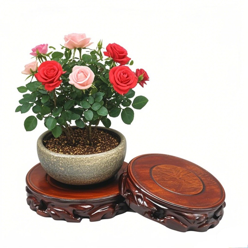 Wooden Plant Saucer & Flower P - Coffee Tea For Garden incelemesi ve fiyatı